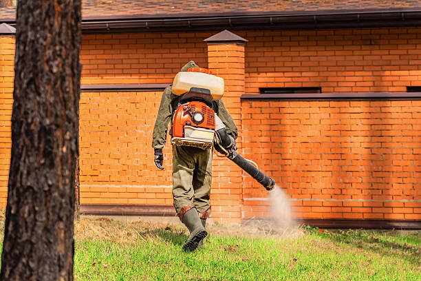 Trusted Ant Control service in Clarksville, TN - Nex Pest Control
